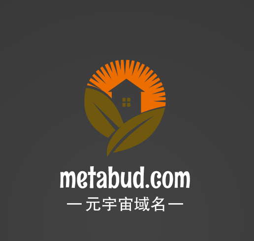 元宇宙啥域名好,metabud.com邀你来品鉴点评